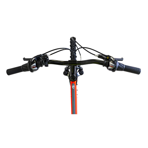 Falcon Neutron Junior Mountain Bike 24