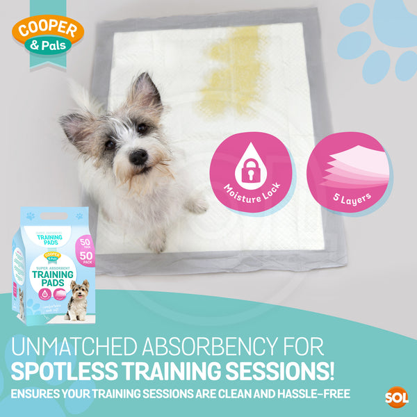 400 Pack Puppy Training Pads 45x60cm | Super Absorbent Leak-Proof Dog Pee Pads | Odor Control & Moisture Lock Layers | Disposable Indoor Pet Training Pads for Puppies & Small Dogs