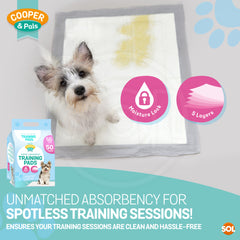400 Pack Puppy Training Pads 45x60cm | Super Absorbent Leak-Proof Dog Pee Pads | Odor Control & Moisture Lock Layers | Disposable Indoor Pet Training Pads for Puppies & Small Dogs