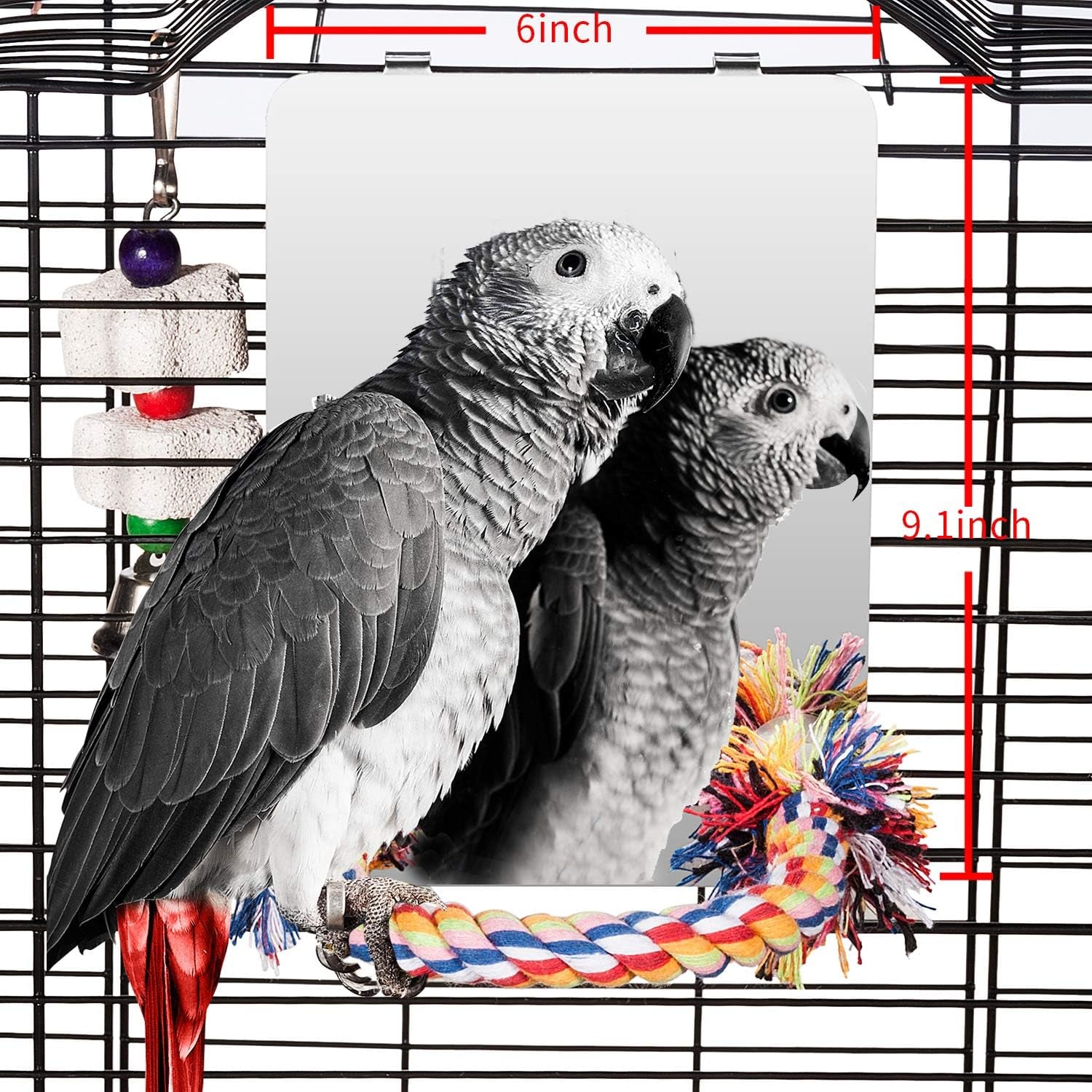 Colorday 9 Inch Stainless Steel Bird Mirror with Rope Perch, Bird Toys Swing, Comfy Perch for African Grey Parakeet Cockatiel Conure Lovebird Finch Canaries