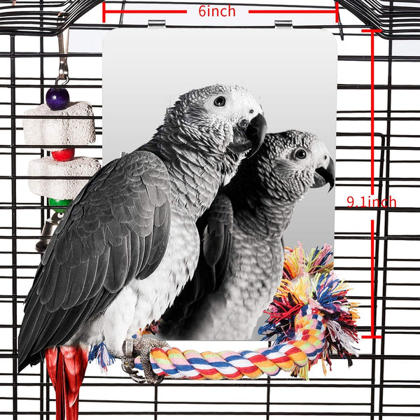 Colorday 9 Inch Stainless Steel Bird Mirror with Rope Perch, Bird Toys Swing, Comfy Perch for African Grey Parakeet Cockatiel Conure Lovebird Finch Canaries
