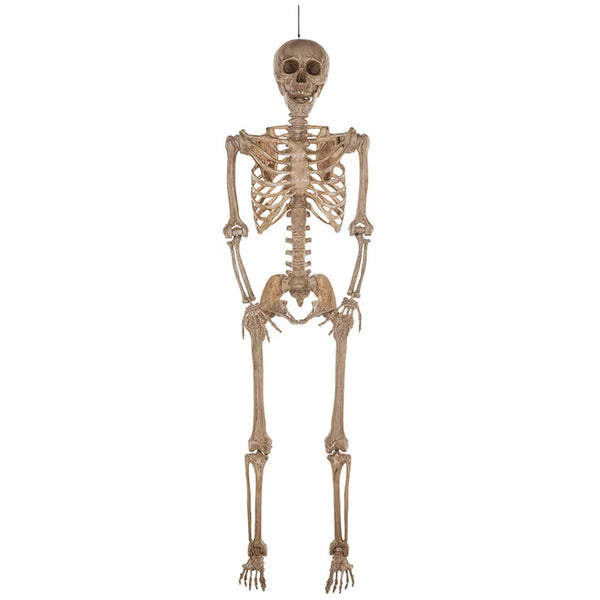 Halloween 7Ft (2.1M) Poseable Skeleton
