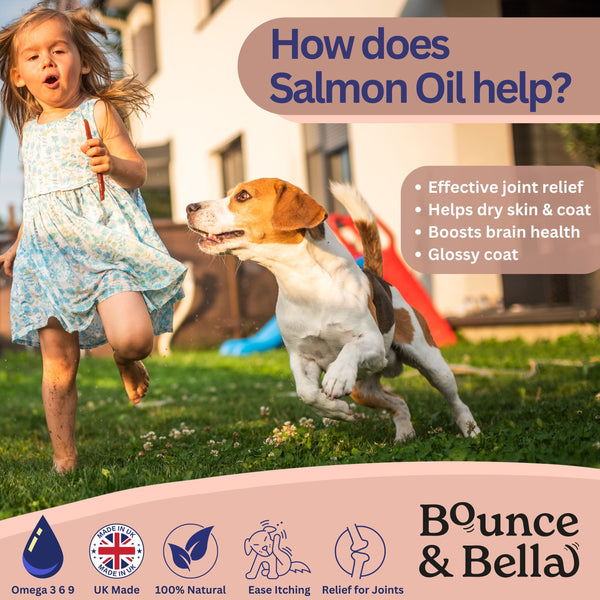 Scottish Salmon Oil for Dogs & Cats UK - Purity-Filtered Omega 3-6-9 Fish Oil Supplement, 500ml, Bounce and Bella