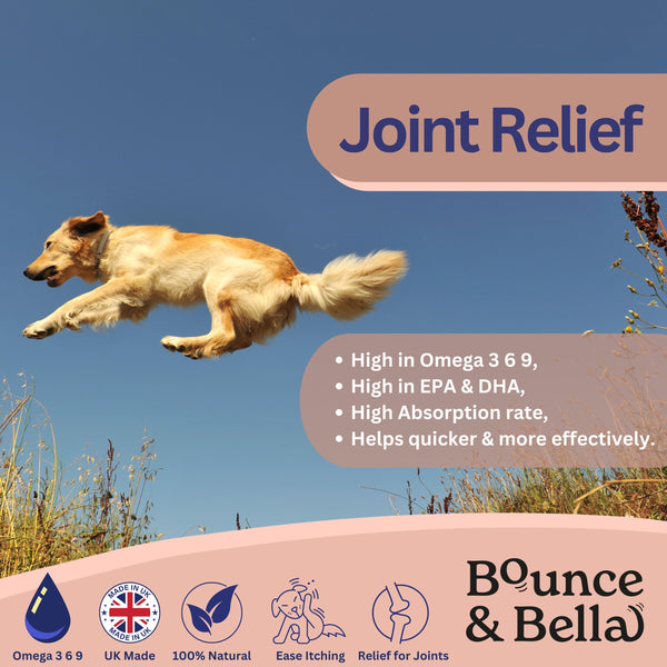 Scottish Salmon Oil for Dogs & Cats UK - Purity-Filtered Omega 3-6-9 Fish Oil Supplement, 500ml, Bounce and Bella