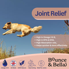 Scottish Salmon Oil for Dogs & Cats UK - Purity-Filtered Omega 3-6-9 Fish Oil Supplement, 500ml, Bounce and Bella