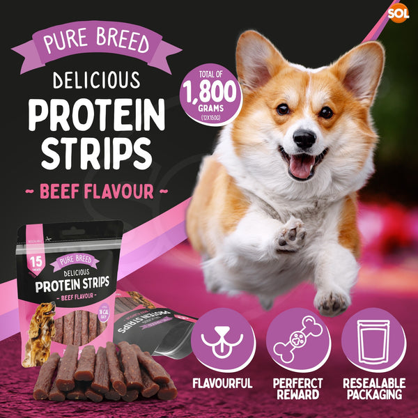 Pure Breed 12 Pack Dog Protein Strips Beef Flavour | High Protein Dog Treats | Low Calorie Soft Dog Training Treats | Resealable Bulk Dog Reward Snacks