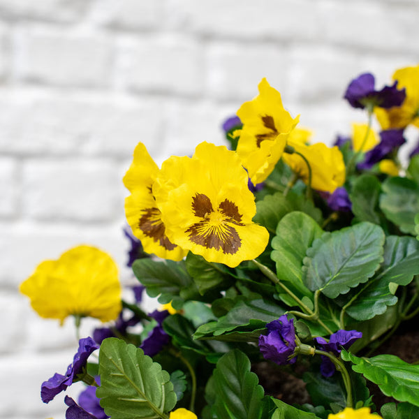 Artificial Flower Hanging Basket in 2 Colours