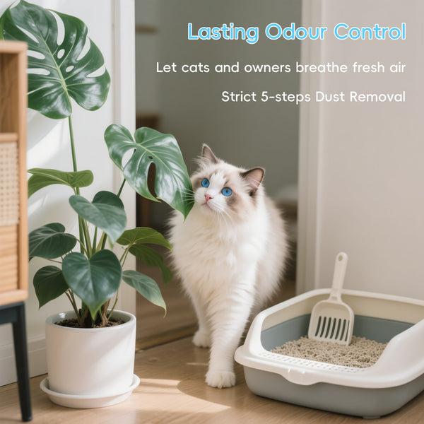 Multi-Buy Discounts, Premium Tofu Blended Cat Litter (2.3*1 Kg), Deodorizing Tofu Cat Litter - Clumping, Low Dust, Easy To Clean, Fast Clumping, Odor Control, Non-sticking, Flushable, Long-lasting.
