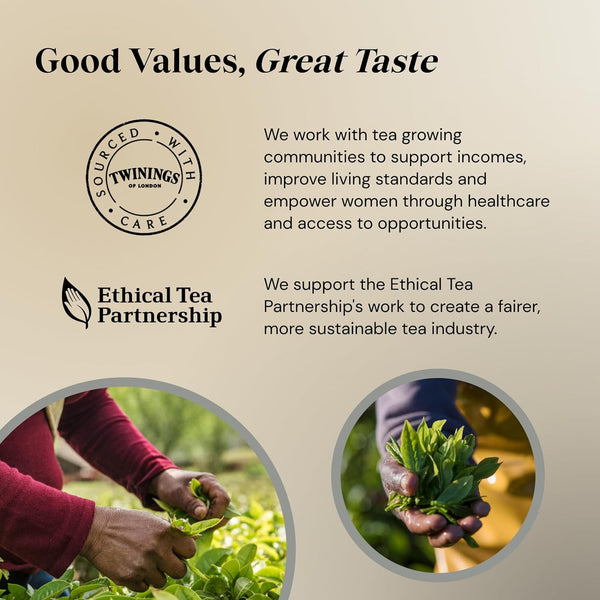 Twinings Spicy Chai Tea Warming & Aromatic Black Tea Spices of Cinnamon, Clove & Ginger with Assam Tea Base, 40 Biodegradable Tea Bags