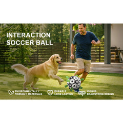 Dog Fetch Ball with Grab Straps for Small and Medium Dogs Durable Pet Play Ball for Outdoor Training Water Play and Daily Exercise