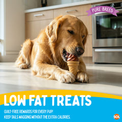 Pure Breed Snack Pack Dog Chews 2 Pack | Mint & Strawberry Ice-Cream Dog Treats | Healthy Low Fat Grain-Free Dog Snacks | Long Lasting Natural Chew for All Breeds | Daily Training Reward Treat