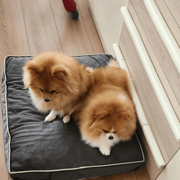 Waterproof Dog Bed, Plush Dog Mattress, Charcoal, Machine Washable, Medium & Large Sized, Cozy Dog Bed, Dog Sleeping Mattress