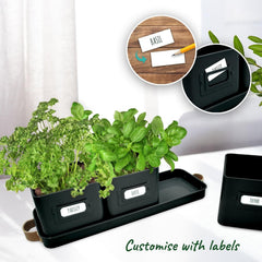 Herb Pots for Kitchen Windowsill - Set of Herb Planter Indoor with Leather Handled Tray - Ideal for an Indoor Herb Garden, Plants and Flowers - Labels Included