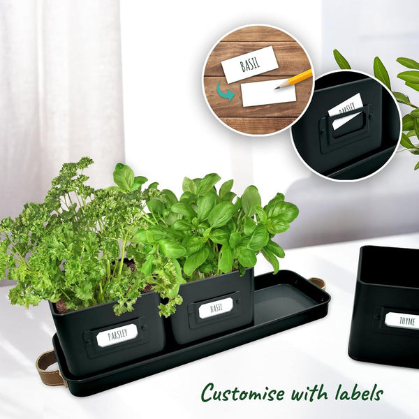Herb Pots for Kitchen Windowsill - Set of Herb Planter Indoor with Leather Handled Tray - Ideal for an Indoor Herb Garden, Plants and Flowers - Labels Included