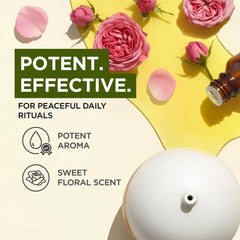 Gya Labs Rose Essential Oils for Skin - 100% Pure Natural Rose Oil for Face, Hair, Diffuser, Perfume & Candle Making Scent Aromatherapy (10Ml)