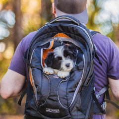 Kurgo G-Train Pack, Carrier Backpack for Small Dogs and Cats, Ideal for Hiking or Travel, Waterproof Bottom, Chili Red