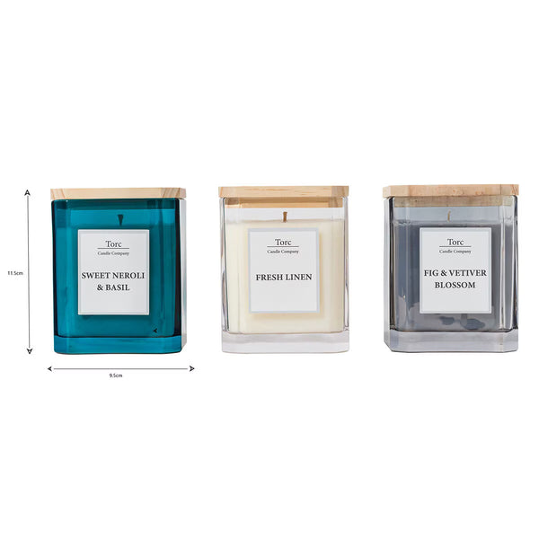 Torc Fragranced Candle, 3 Pack