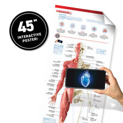 VR Box Set Human Body