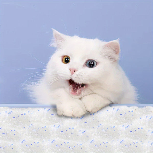 Silica Cat Litter Crystals Kitten Litter 3.8L/5L/10L Ultra Absorbent, Effective Odour Control, Dust-Free,Hygiene Easy to Clean Cat Litter