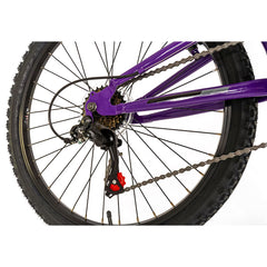 Falcon Siren Junior Mountain Bike 24