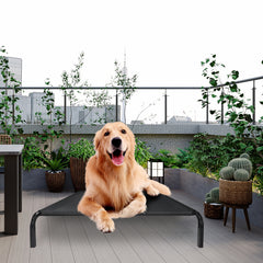 Metal Frame Elevated Dog Bed Portable Raised Pet Cot with Washable Mesh No-Slip Rubber Feet for Indoor & Outdoor Use, Small/Medium/Large to choose