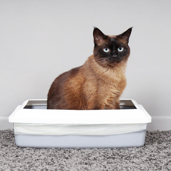 Ecobag Cat Litter Tray Liners - 30L - Heavy Duty Cat Litter Bags, Recycled Litter Liners, Durable Cat Tray Liners Easy to Dispose