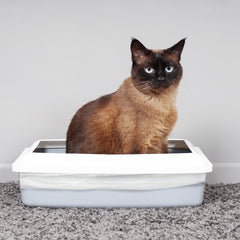 Ecobag Cat Litter Tray Liners - 30L - Heavy Duty Cat Litter Bags, Recycled Litter Liners, Durable Cat Tray Liners Easy to Dispose