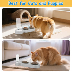 3-In-1 Pet Feeder, Pet Bowl, 40.01cm*9.3cm, Local Inventory Shipment, Triple Cat Bowl for Food And Water, Plastic Raised Cat Dish, Automatic Water Bottle, Food Bowl And Waterer Set, 15° Neck Guard, Dry And Wet Food Bowl Set for Cats