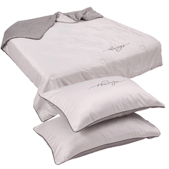 3PCS Luxury Embroidered Summer Bedding Set, Air-Conditioning Thin Quilt Set, Washed Twill Lightweight & Soft Breathable for Hot Sleepers, Machine Washable, Comtemporary Style 100% Polyester (1 Duvet + 2 Pillowcases, Without Pillow Inserts)