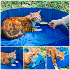 Pet Foldable Shower Bathtub, Pet Bath Pool Portable Pet Bath Basin For Cats and Dogs