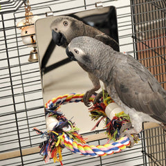Colorday 9 Inch Stainless Steel Bird Mirror with Rope Perch, Bird Toys Swing, Comfy Perch for African Grey Parakeet Cockatiel Conure Lovebird Finch Canaries