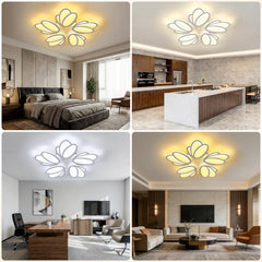 LED Ceiling Lighting and Remote Control, LED Ceiling Light, Dimmable Ceiling Light, Living Room Fan, Suitable for Bedroom Dining Room Office