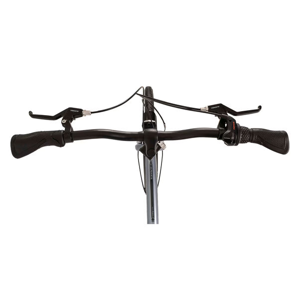 Dawes Diamond Folding Bike 20