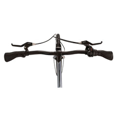 Dawes Diamond Folding Bike 20