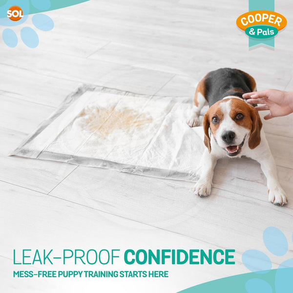 100 Puppy Training Pads for Dogs | Large 60x45cm Dog Pee Pads with Leak-Proof Backing & Odour Control | Super Absorbent Puppy Toilet Training Mats | Bulk Disposable Dog Wee Pads for Housebreaking & Travel