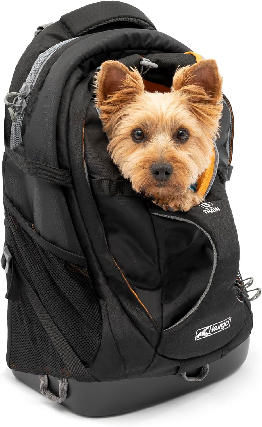 Kurgo G-Train Pack, Carrier Backpack for Small Dogs and Cats, Ideal for Hiking or Travel, Waterproof Bottom, Chili Red