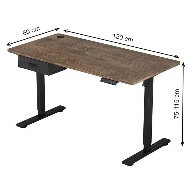 Electric Standing Desk, Sit Stand Table, Height Adjustable Electric Standing Computer Desk with USB Charging Port and Desk Drawer for Home Office