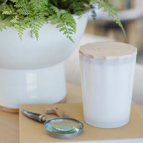 Sand & Fog Scalloped Fragranced Candle, 3.3Kg in Ocean Mist