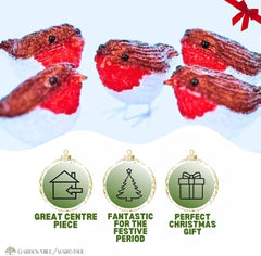 Marco Paul 5 Pack LED Robins Christmas Decorations Battery Operated String Lights with Auto Timer Indoor & Outdoor Festive Xmas Bird Ornaments Novelty Seasonal Home Décor