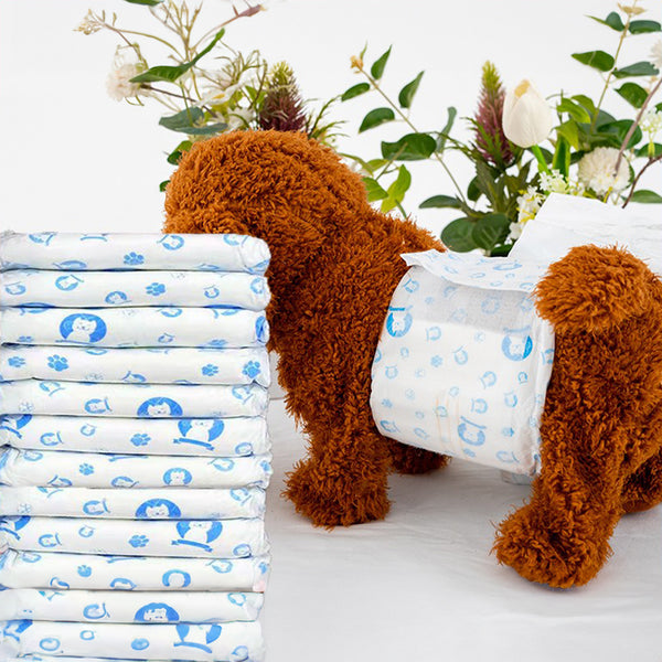 Disposable Dog Nappies Male, Male Dog Wraps, 12pcs Dog Belly Bands, Wetness Indicator, Super Absorbent, Leak-Proof, Incontinence,Stretchy Pants, 4 Size for 3 - 25kg Male Dog