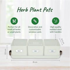 Herb Pots for Kitchen Windowsill - Set of Herb Planter Indoor with Leather Handled Tray - Ideal for an Indoor Herb Garden, Plants and Flowers - Labels Included