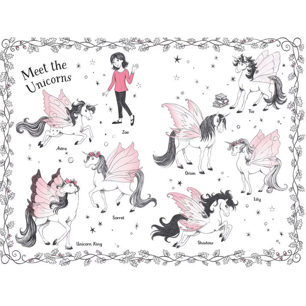 Fairy Unicorns X6 Book Collection