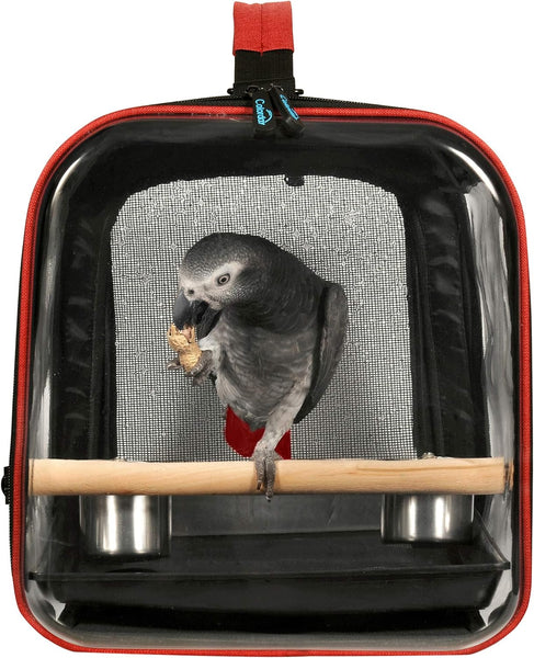 Colorday Lightweight Bird Carrier, Bird Travel Cage (Large 19 X 12 X 13, Black)