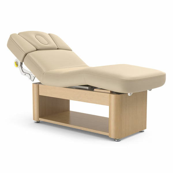 Master Massage Yosemite 78Cm Electric Lifting Spa Bed