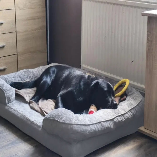 Orthopedic Extra for Large Dog Bed (XXL) - Thick Cushioned Dog Sofa Bed with Non-Slip Base, Heavy-Duty Pet Mattress for Large Dogs, Easy Assembly, Ideal for Indoor/Outdoor Use - Compatible with Small, Medium, And for Large Breeds