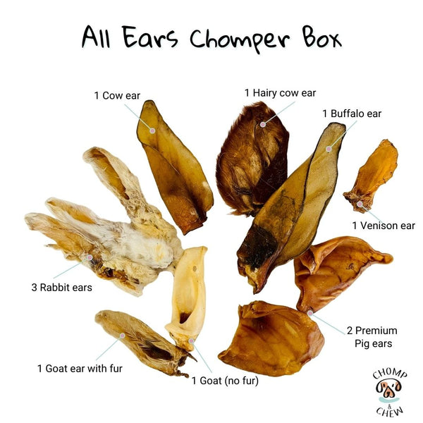 All Ears Chomper Box®