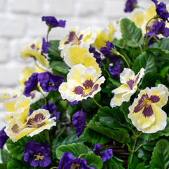 Artificial Flower Hanging Basket in 2 Colours