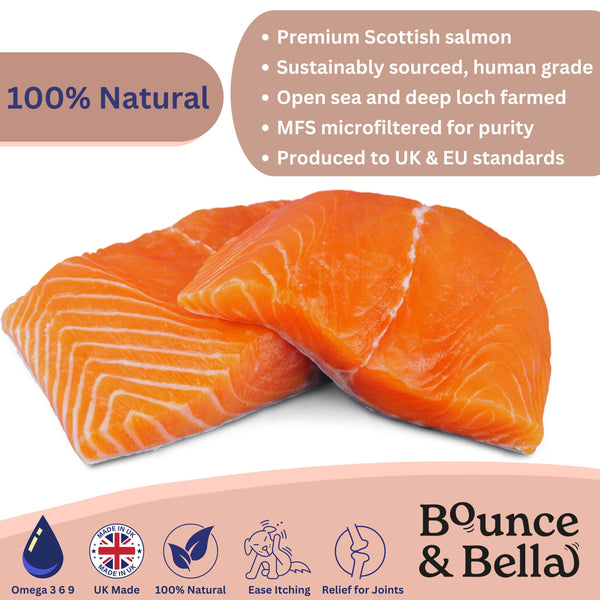 Scottish Salmon Oil for Dogs & Cats UK - Purity-Filtered Omega 3-6-9 Fish Oil Supplement, 500ml, Bounce and Bella