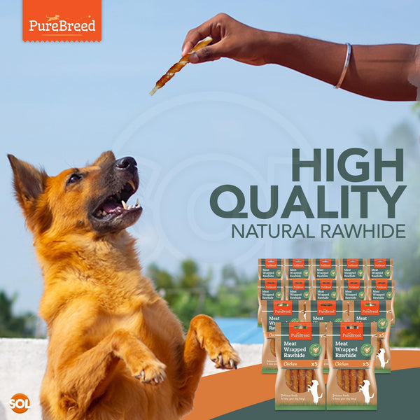 Pure Breed 100pk Chicken Wrapped Dog Treats | Twist Rawhide Sticks for Training, Reward & Chewing | Low Fat, High Protein Long-Lasting Dog Chews | Perfect Puppy Treats & Christmas Pet Gifts