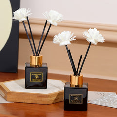 2pcs/set, different aroma diffusers, multiple options to choose from